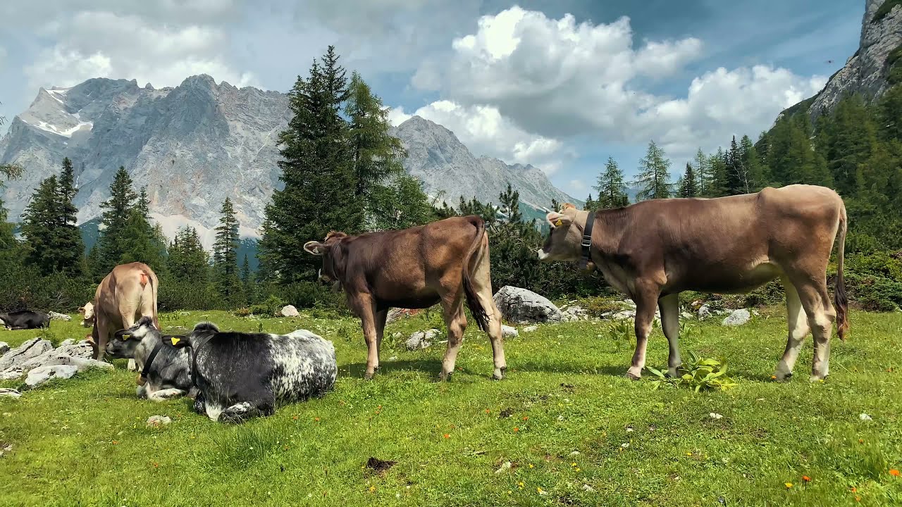 Lermoos - Zugspitze Area, Tirol, Austria (2019) 4K