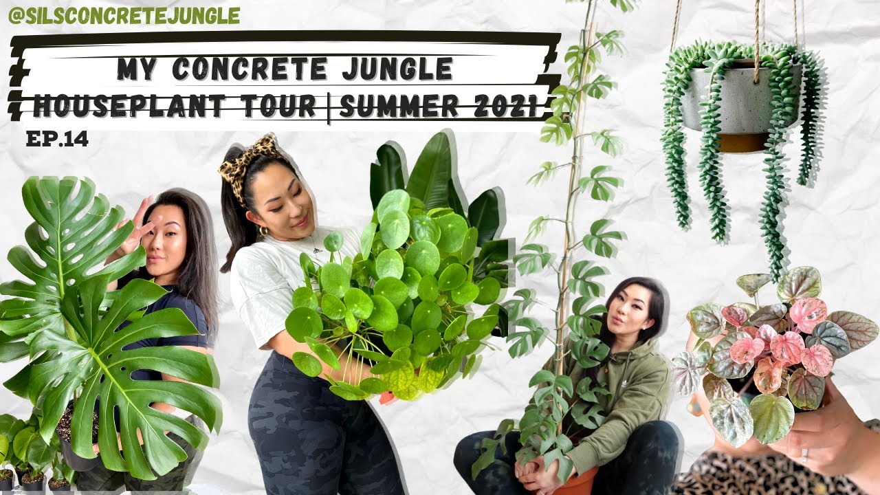 FINALLY MY CONCRETE JUNGLE HOUSEPLANT TOUR! | SUMMER 2021