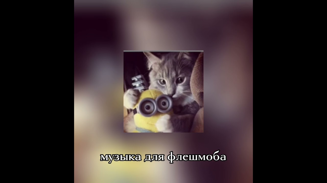 МУЗЫКА ДЛЯ ФЛЕШМОБА