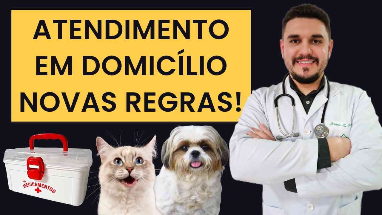 NOVAS REGRAS DO ATENDIMENTO EM DOMICÍLIO - RESOLUÇÃO CFMV
