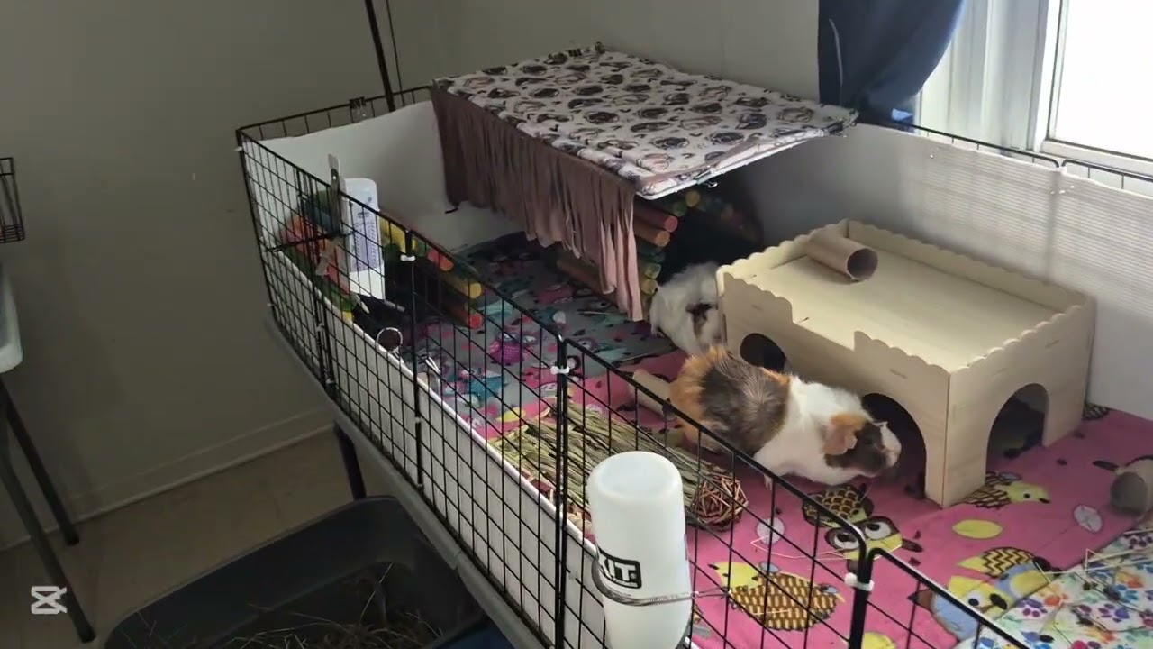 Morning routine- unedited raw footage. 