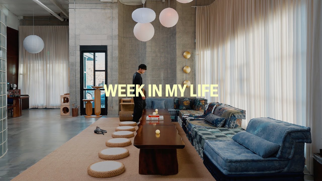 week in my life | realistic goals & visiting a new cat lounge