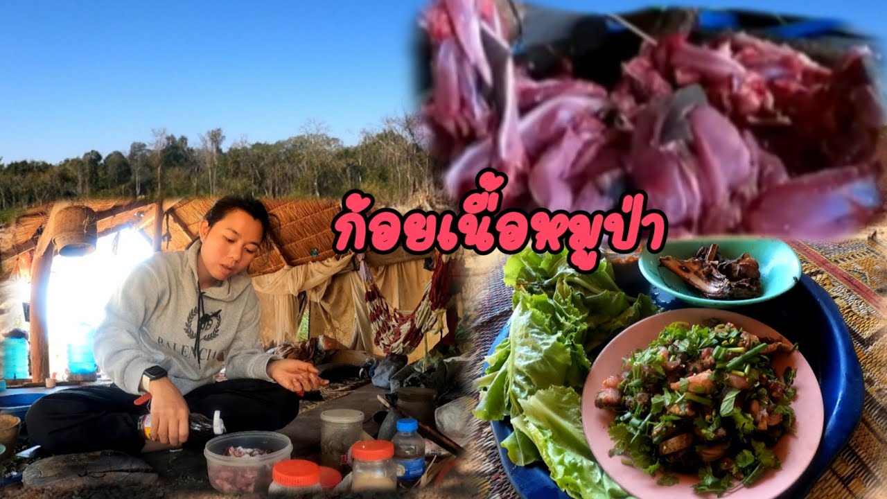 อาหารดีแล้ววันนี้ก้อยเนื้อหมูป่า/ກ້ອຍຊິ້ນໝູປ່າ