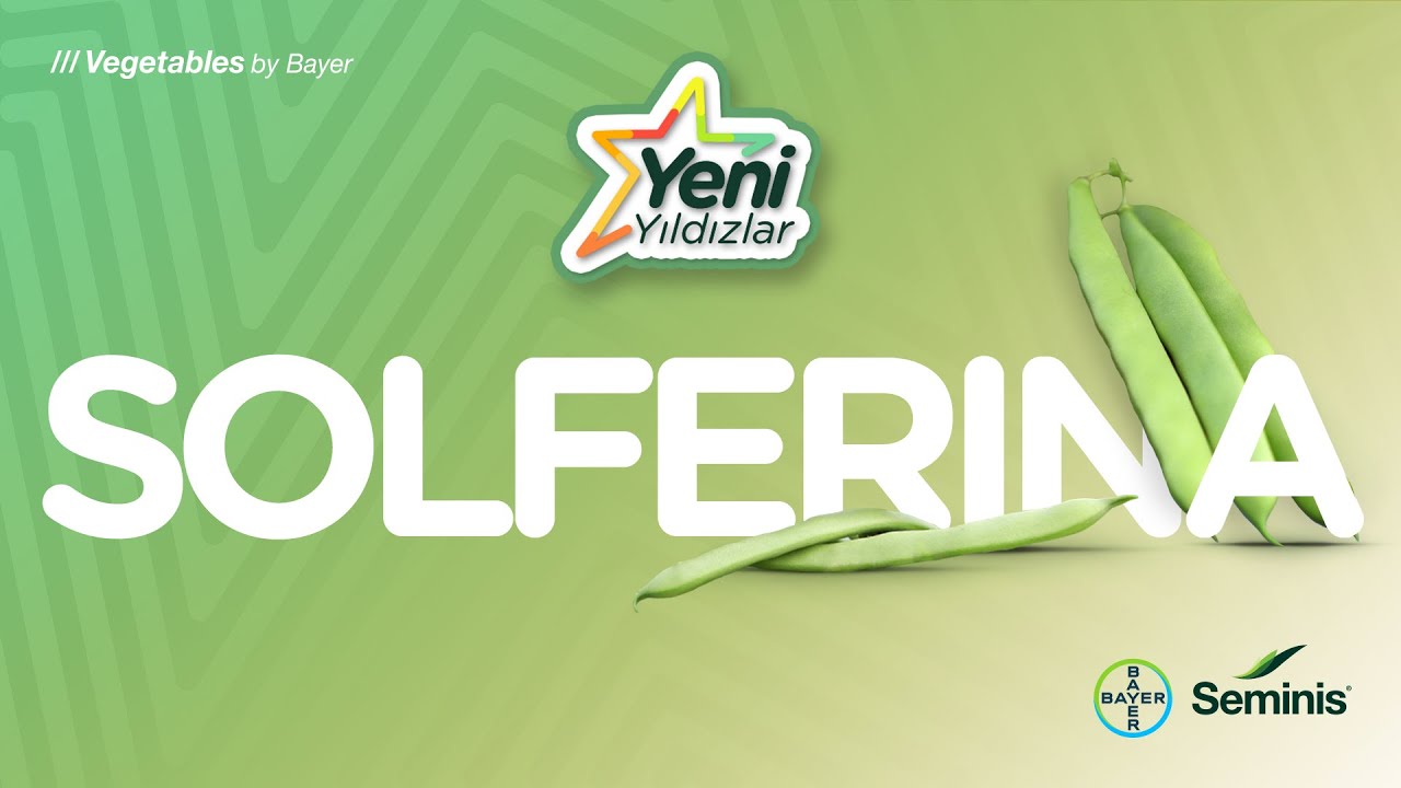 Yeni Yıldızlar: Solferina Fasulye