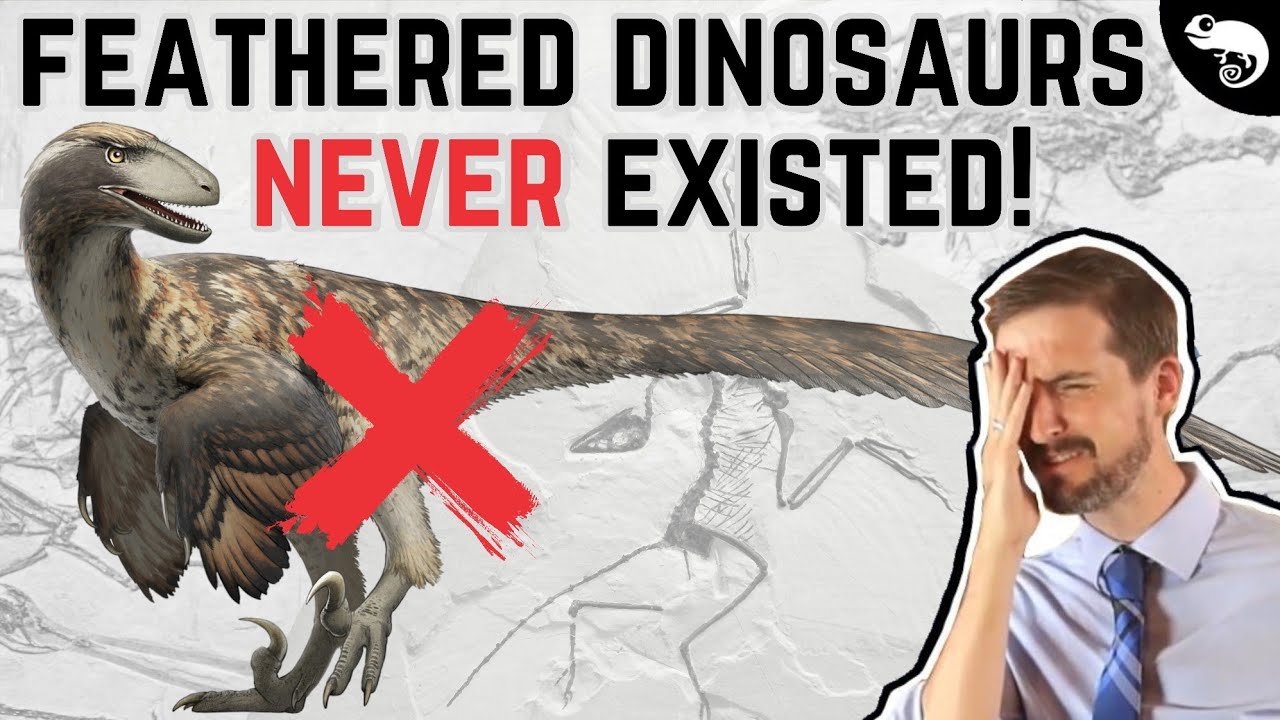 Evolutionary Biologist Reacts to Creationist Arguments