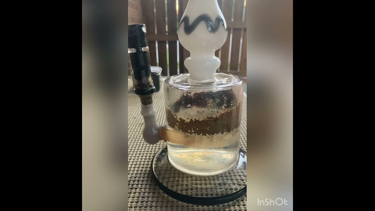 20+ Subscribers Thank You Bong Hit
