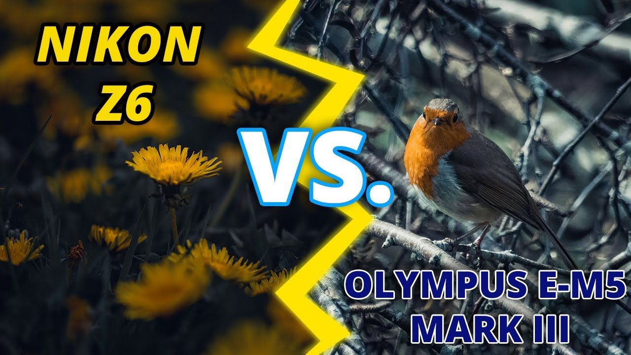 Nikon Z6 Vs Olympus E M5 Mark III