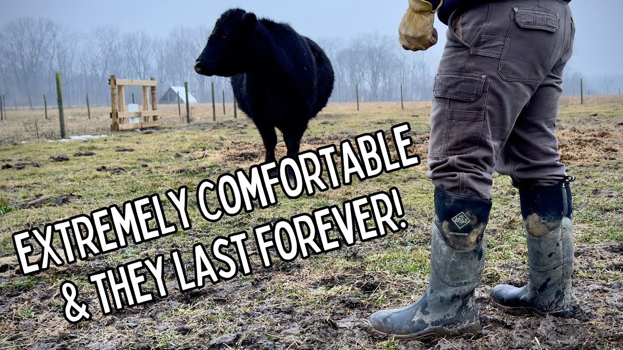 Muck Boots Muckmasters Work Boots Review | The Ultimate Boot for the Farm or the Job Site