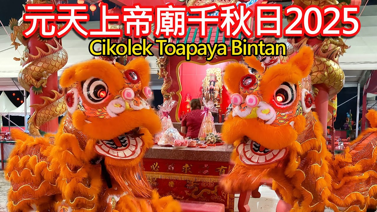 舞獅采青元天上帝廟千秋日2025 | Lion Dance Weiwu Tjp @Yuán tiān shàng dì Temple in Cikolek Toapaya Bintan