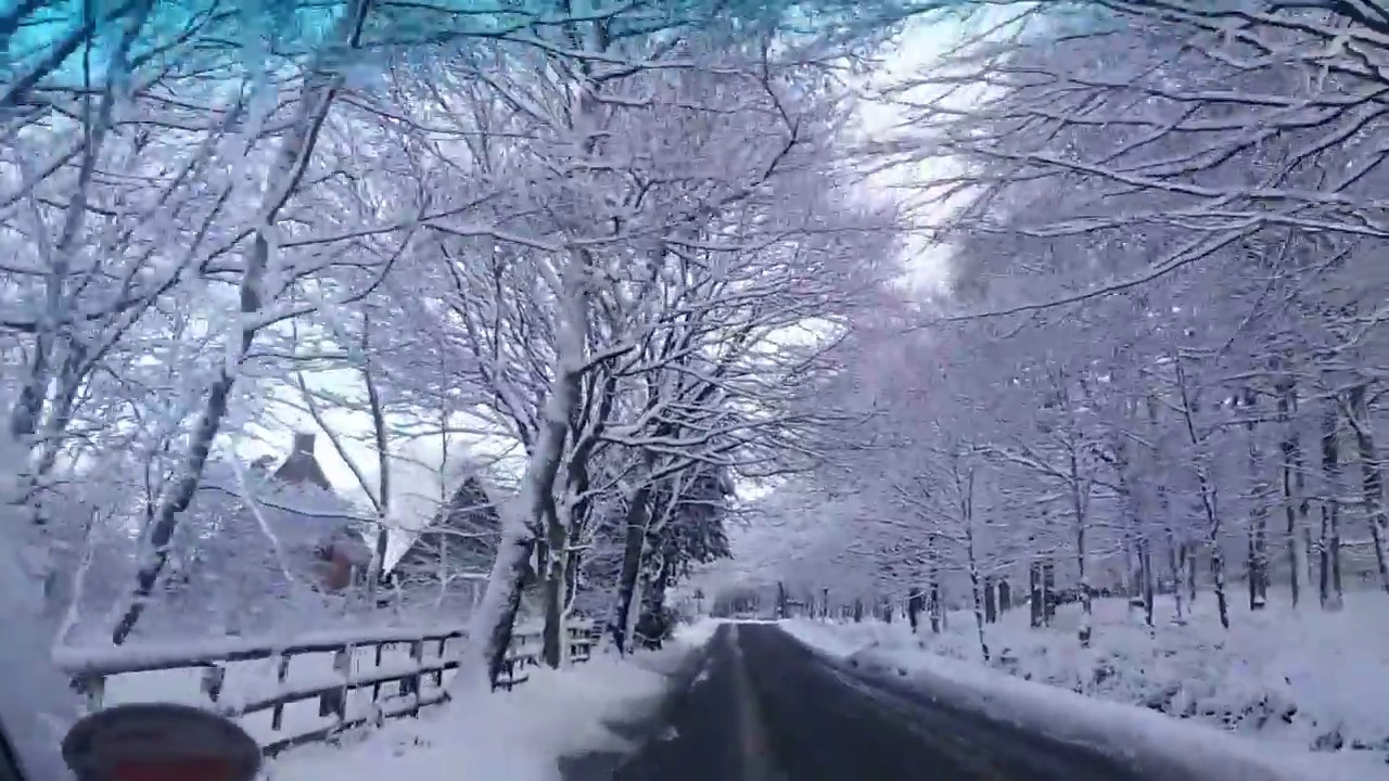 Winter Drive on Cannock Chase in snow Staffordshire