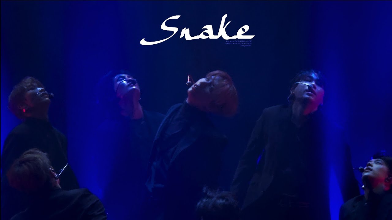 260110 3rd Concert in Japan 2부 | 다크비(DKB) | Snake | 해리준 focus