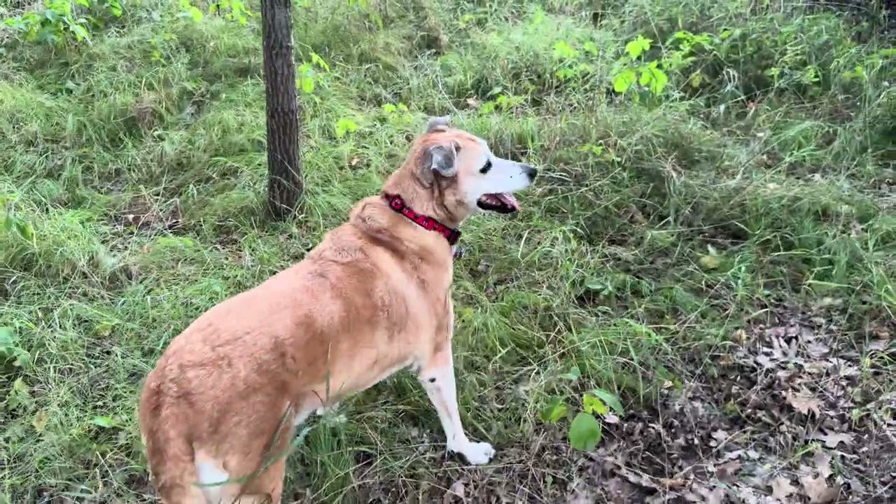 13 Years Old and Still Loves Baird Creek