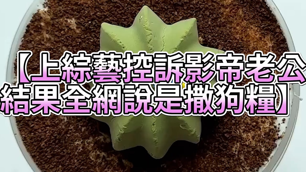 《玩泥說故事》上綜藝控訴影帝老公，結果全網說是撒狗糧🌟（完整版）史萊姆說故事 捏泥講故事 史萊姆 asmr 解壓 起泡膠玩泥