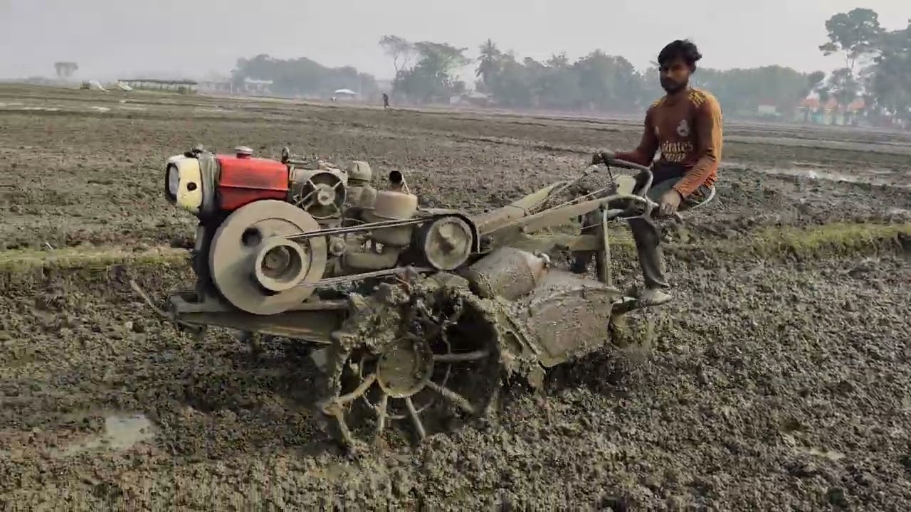 পাওয়ার টিলার দিয়ে জমি চাষ  Modern Cultivation with Power Tiller 🚜💨