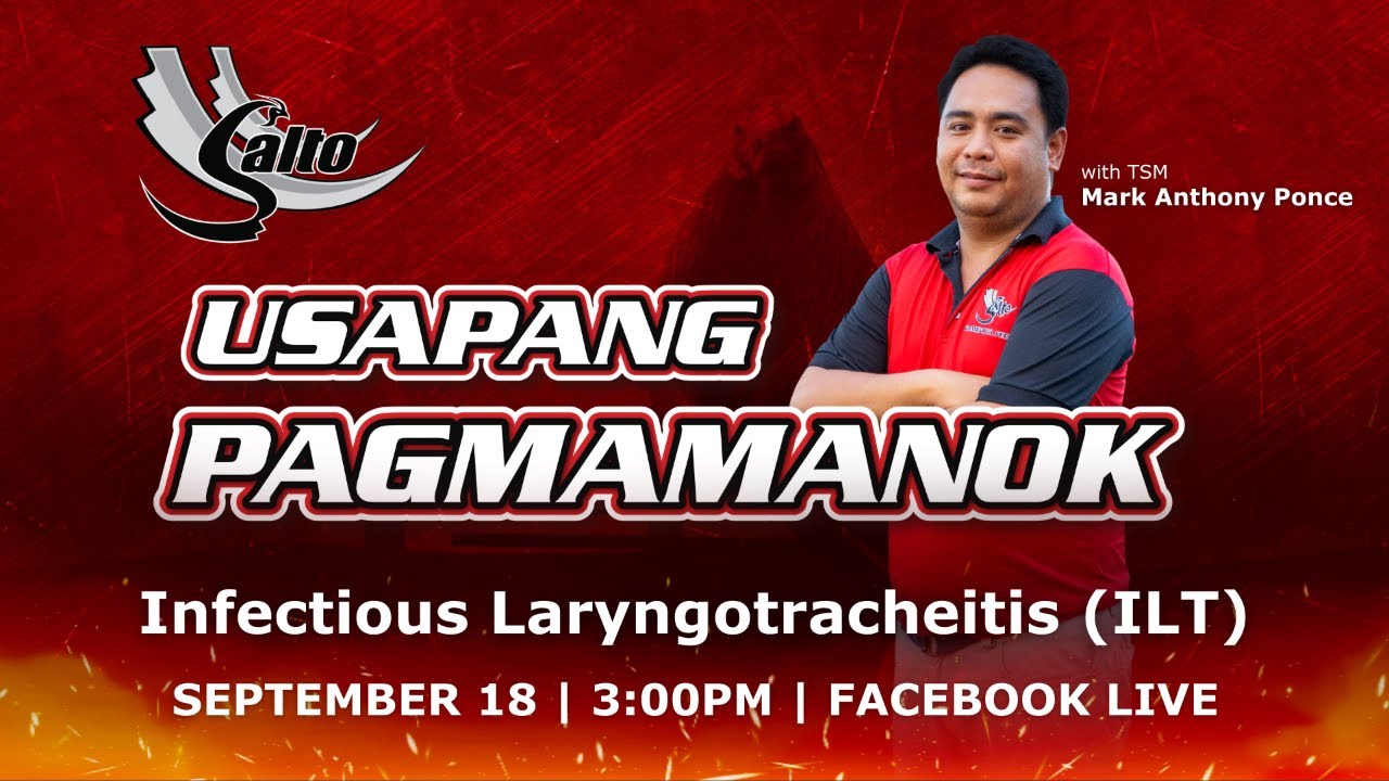 Usapang Pagmamanok