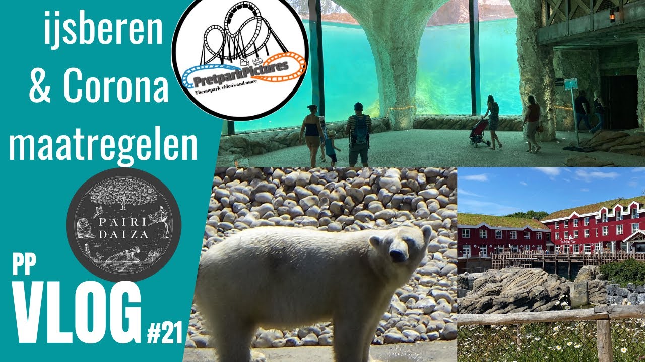 Land of the cold (Terre fu Froid) / Corona maatregelen in Pairi Daiza (2020) - PpVLOG #21