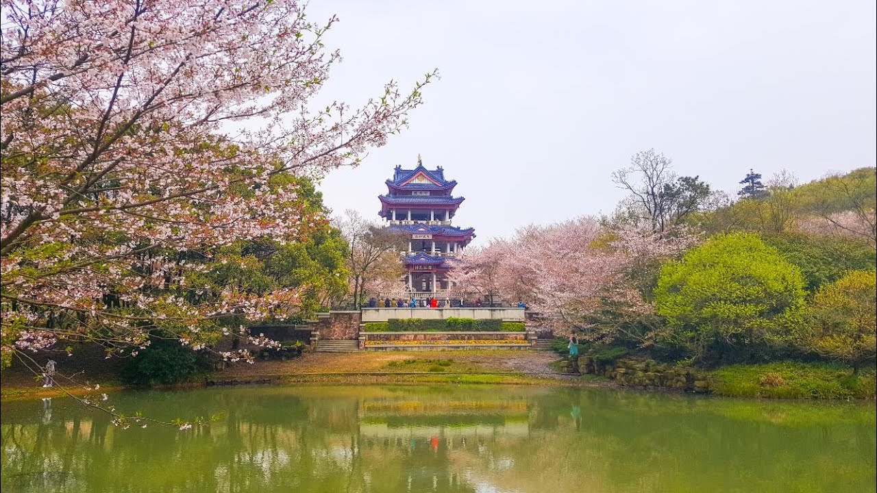 Wuxi Yuantouzhu scenic spot