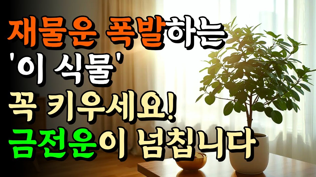 망한 집도 다시 살린다는 '이 식물' 집안에 두면 재물운이 폭발합니다