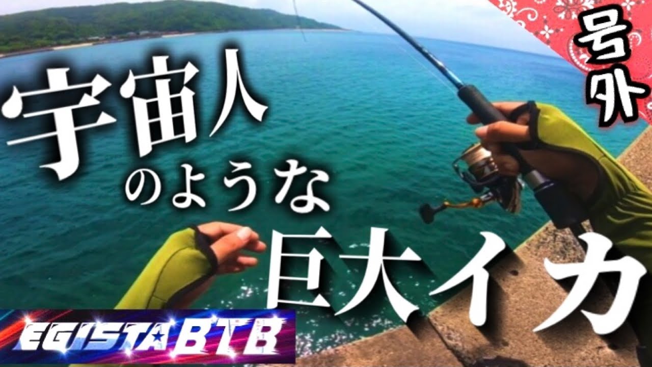 【エギング】宇宙人のような大きなイカが釣れた（エギスタBTB）（エギ王K）