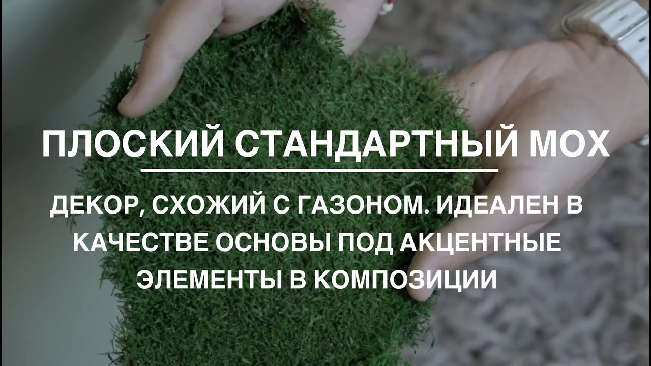 Обзор плоского стандартного мха от компании GREENARY