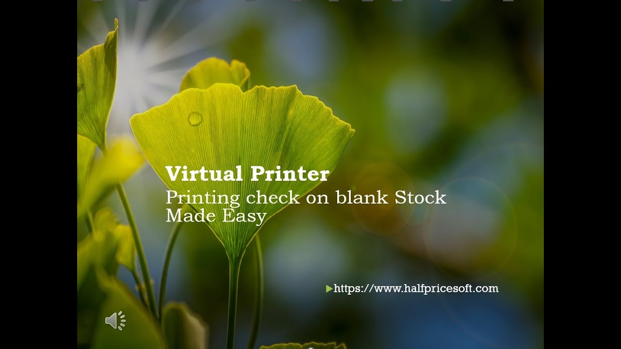 Virtual Printer - Printing Checks on Blank Stock Made Easy