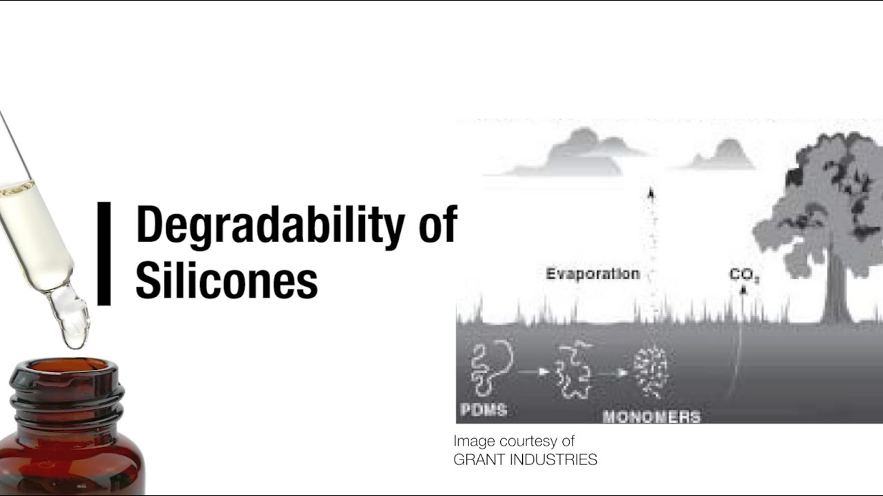 Degradability of Silicones
