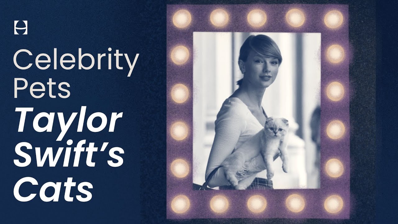 Taylor Swift&rsquo;s Cats | Celebrity Pets | Podcasts to Unwind for Sleep | Hatch+