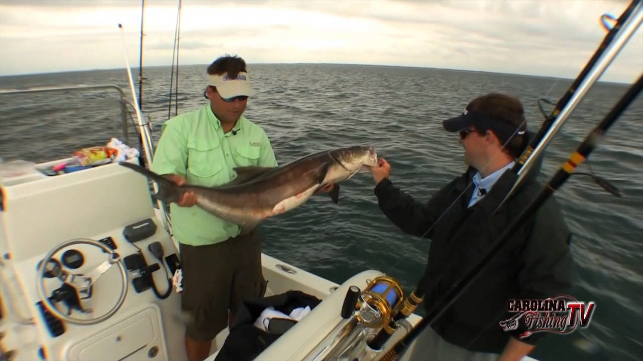 Carolina Fishing TV - Season 2/6 - Cobia at the Cape!