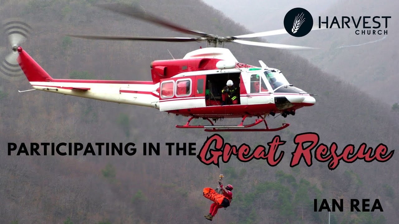 Participating in the Great Rescue | Ian Rea