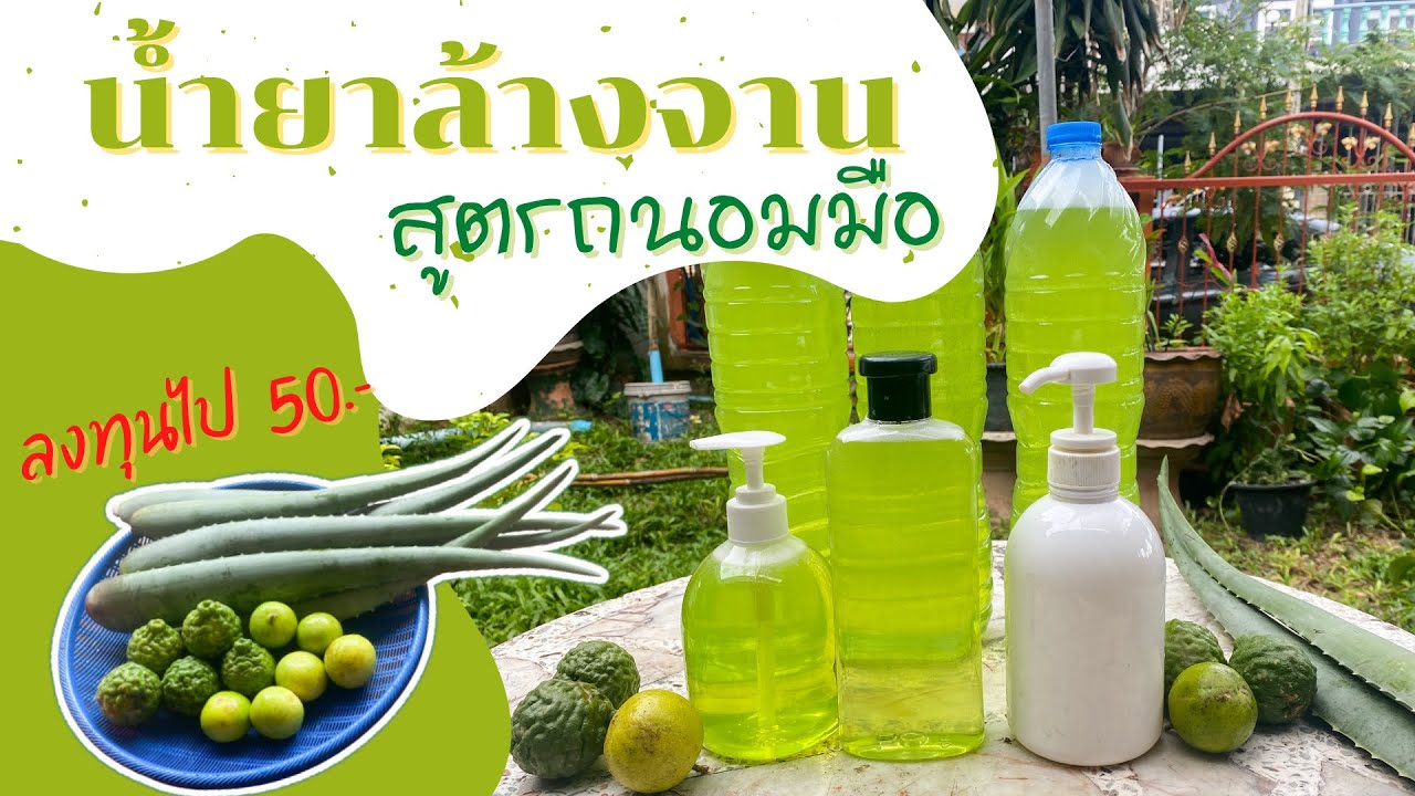 ทำน้ำยาล้างจาน สูตรถนอมมือ 50บาทได้มาเกือบ 6ลิตร สมุนไพรในบ้าน