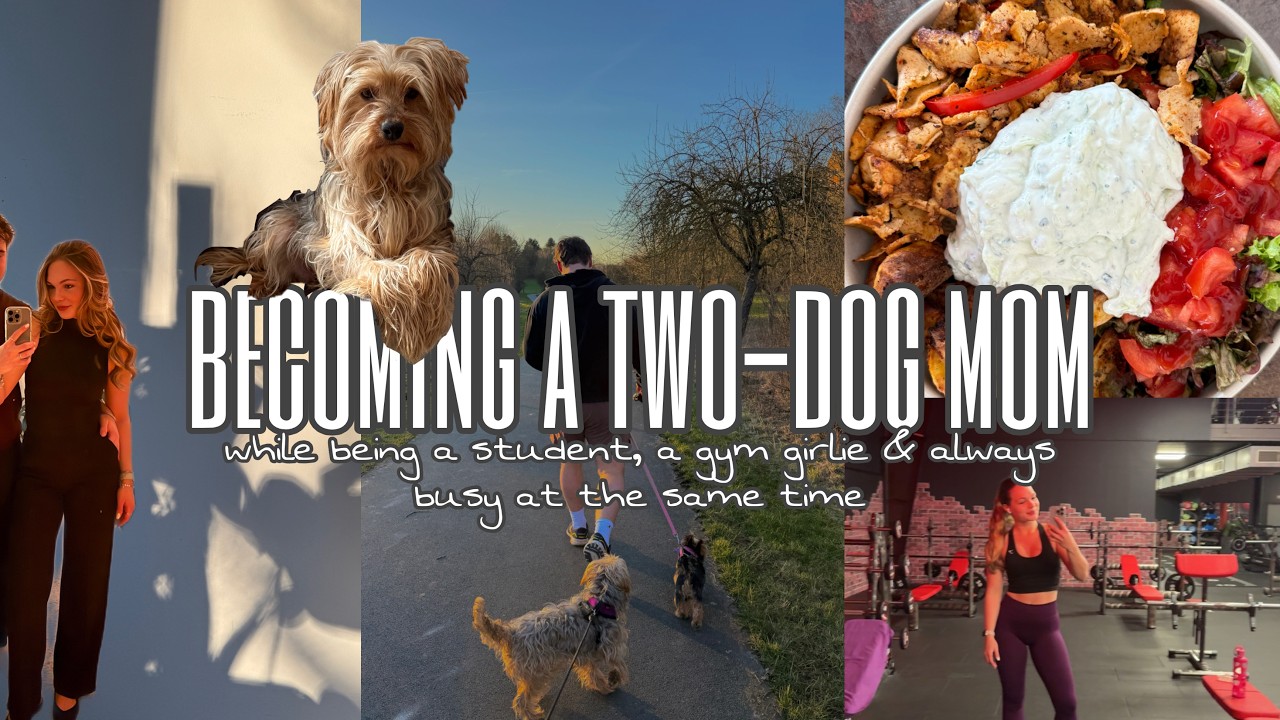 finally adopting a second dog! between walkies, uni, gym and life 🐾🩷☀️ vlog 8