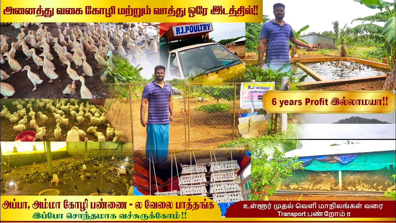 அனைத்து வகை கோழி மற்றும் வாத்து விற்பனையில் அசத்தும் இளைஞர்!!