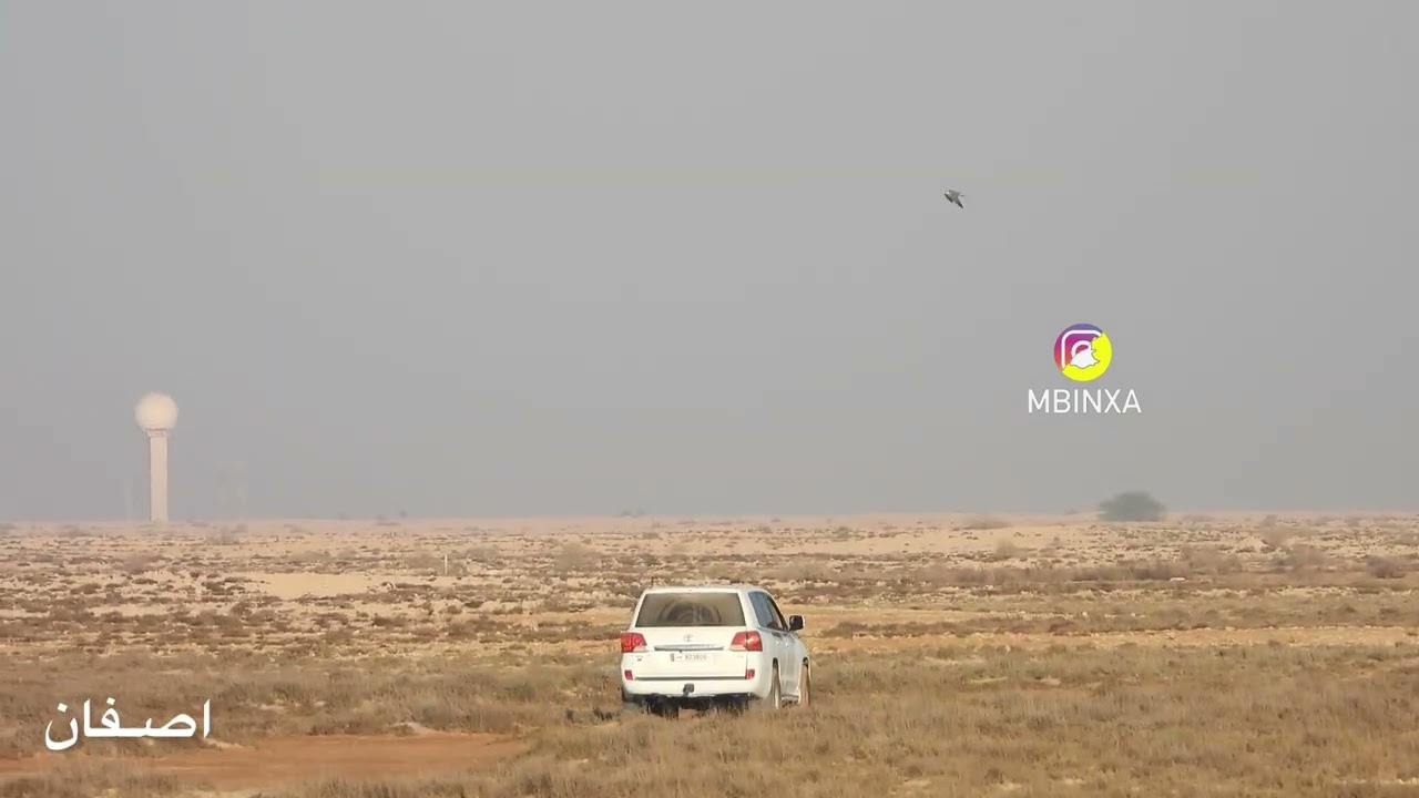 هدد جير شاهين على كروان 