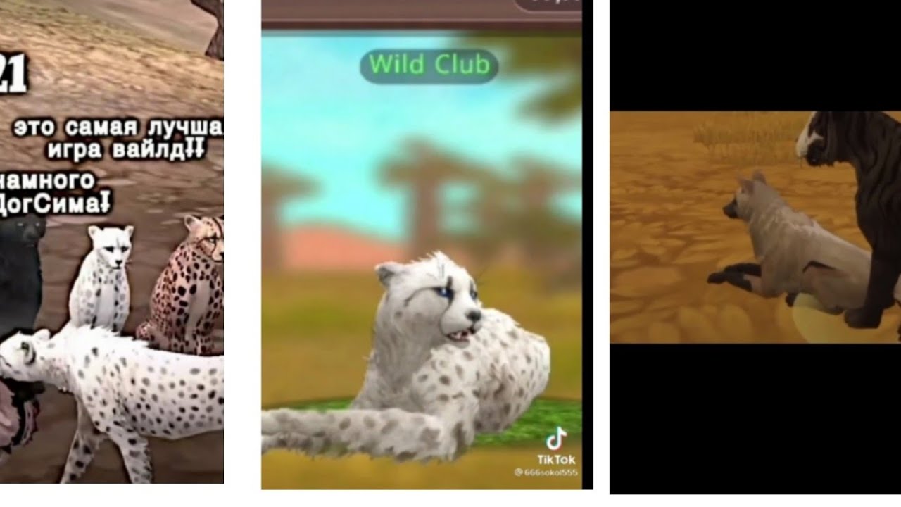 Tik Tok WildCraft Complation 🌚🌝