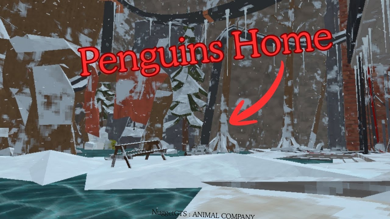 I visited the penguins home... (Animal Company)