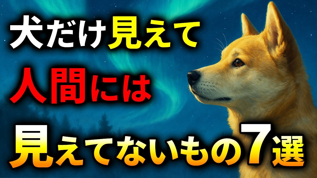 【衝撃】犬だけが見えている“人間には見えない世界”の真実７選