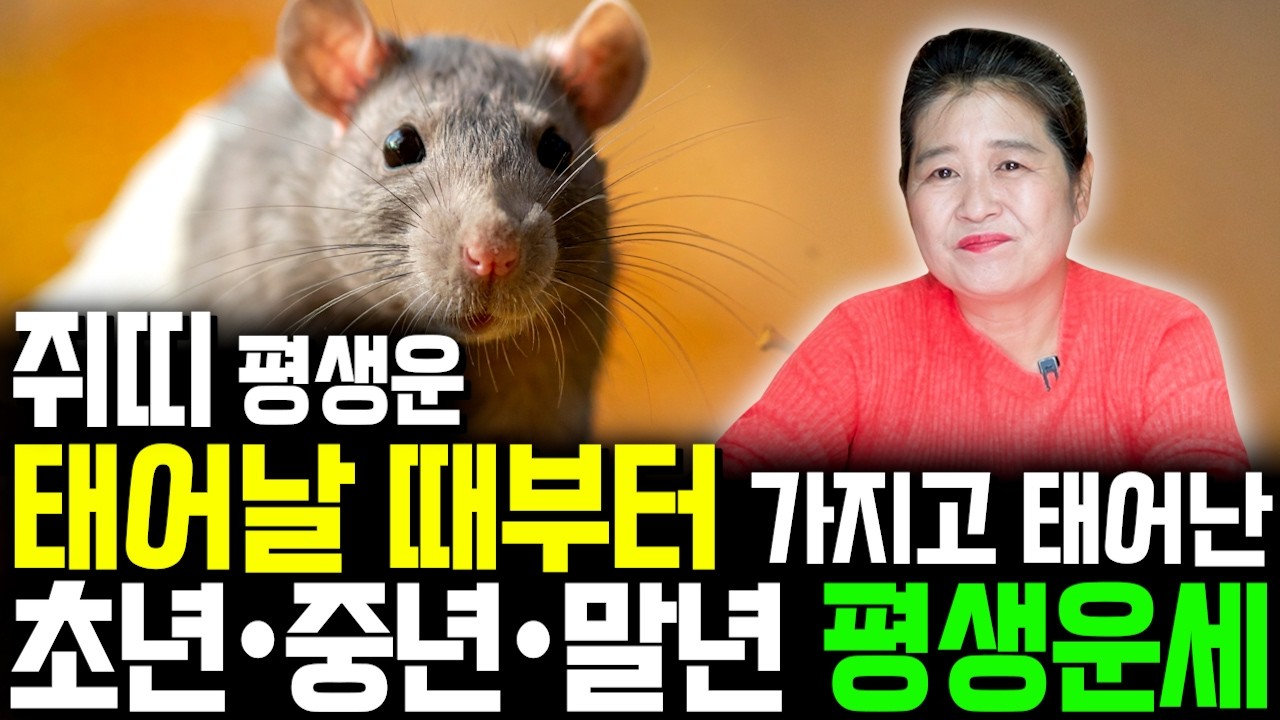 [쥐띠 평생 운세] 쥐띠가 X월에 태어났다면 말년에 99% 대박납니다! 2026년 쥐띠에게 찾아오는 변화와 기회들!! 60년생 72년생 84년생 96년생 쥐띠운세