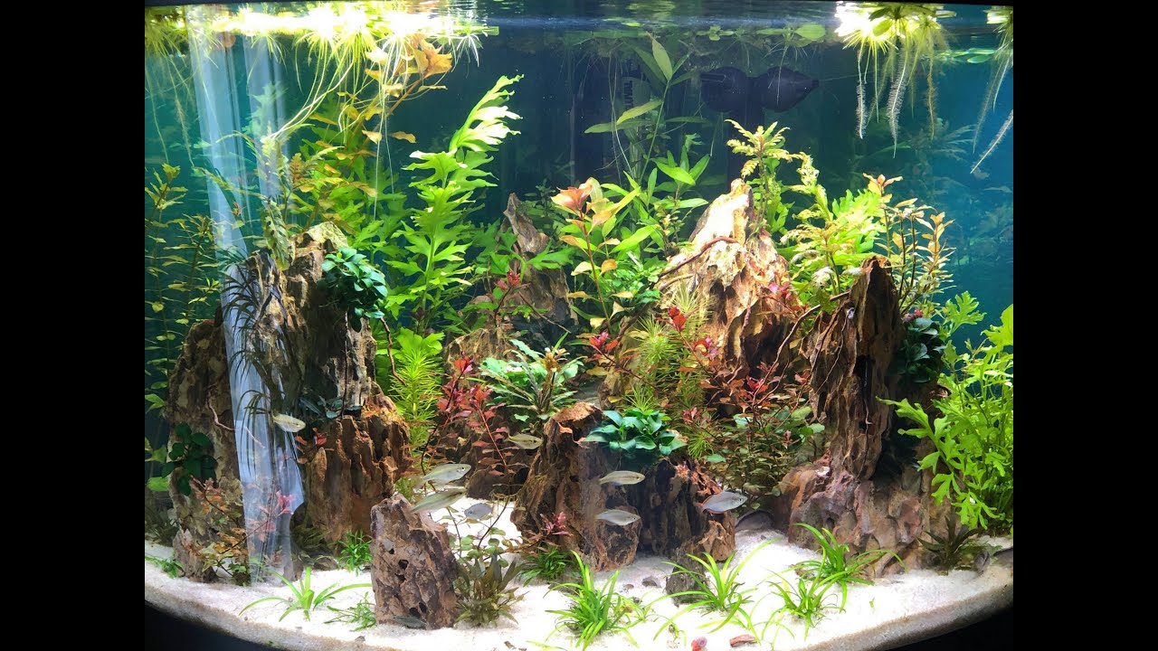 Aquarium Build (190L Fluval Venezia Corner) - Dragon Mountains