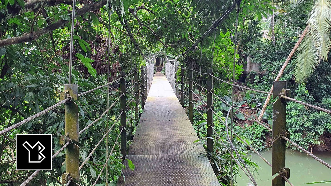 Suspension Bridge over Wakoya Stream in Labugama, Sri Lanka - video 1