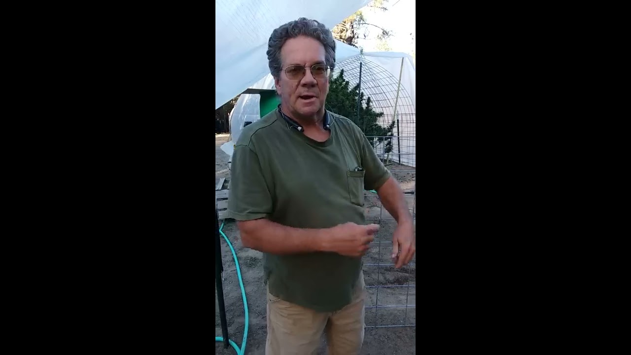 Pre harvest walkthrough of our garden