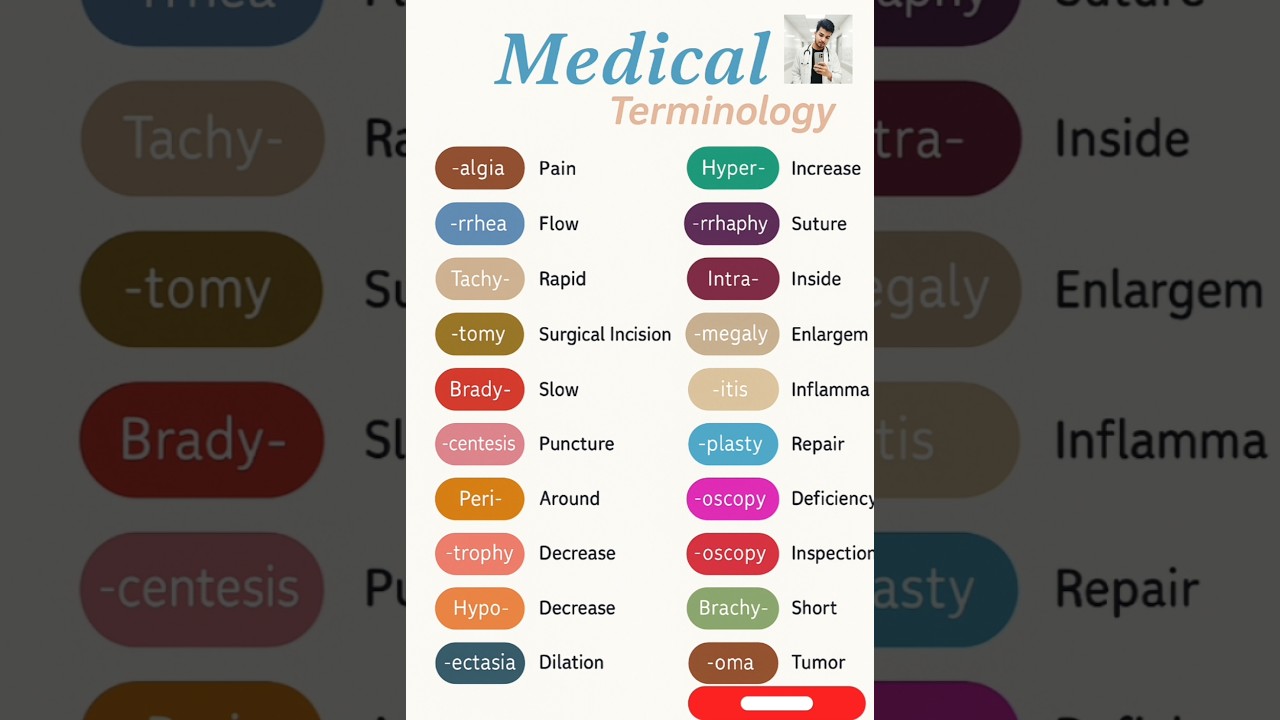 🎓 Medical Terminology Made Easy! 🩺Learn common medical prefixes & suffixes in seconds!💊 #shortsfeed