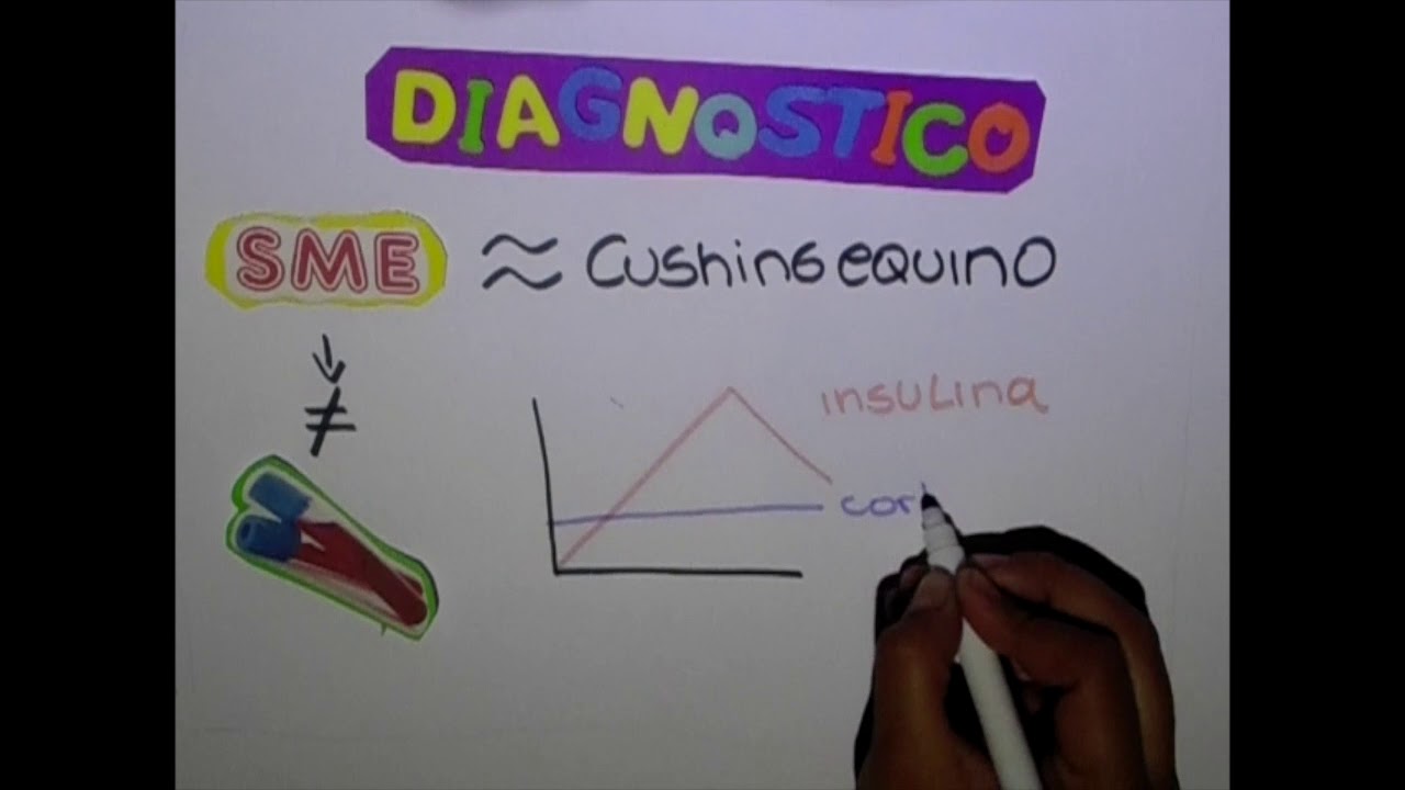 Sindrome Metabolico Equino