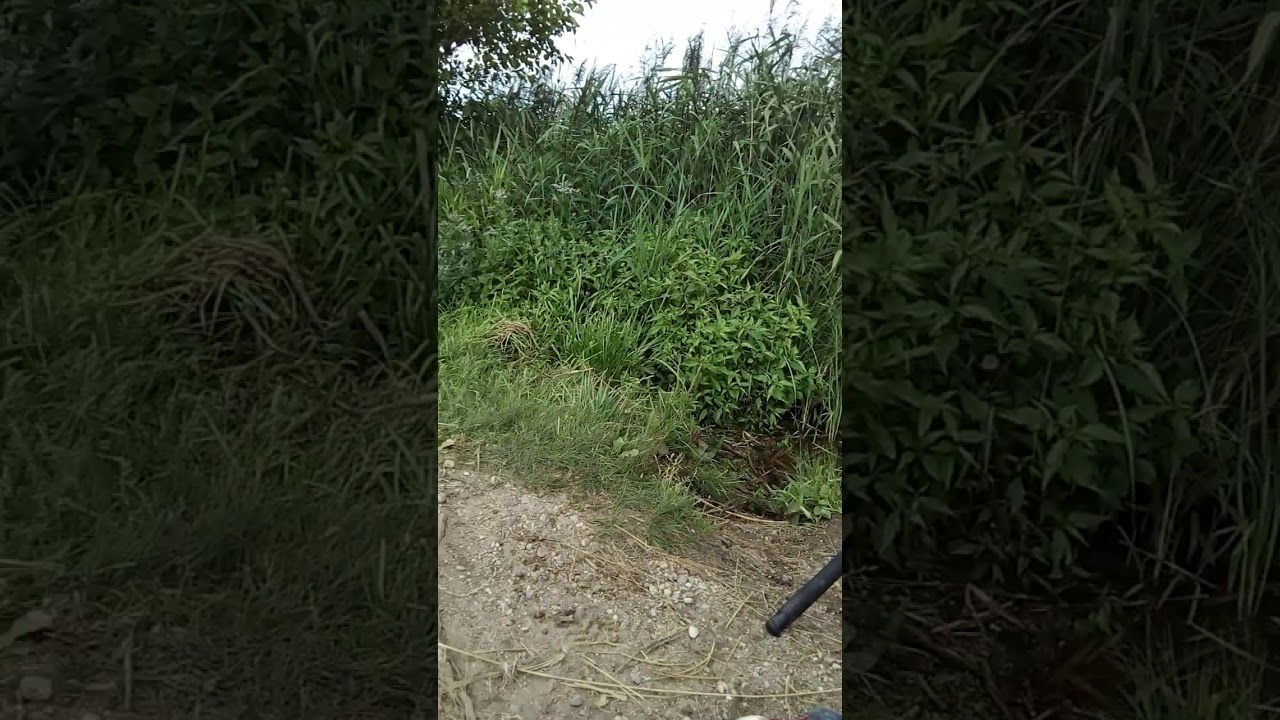 Fishing 22