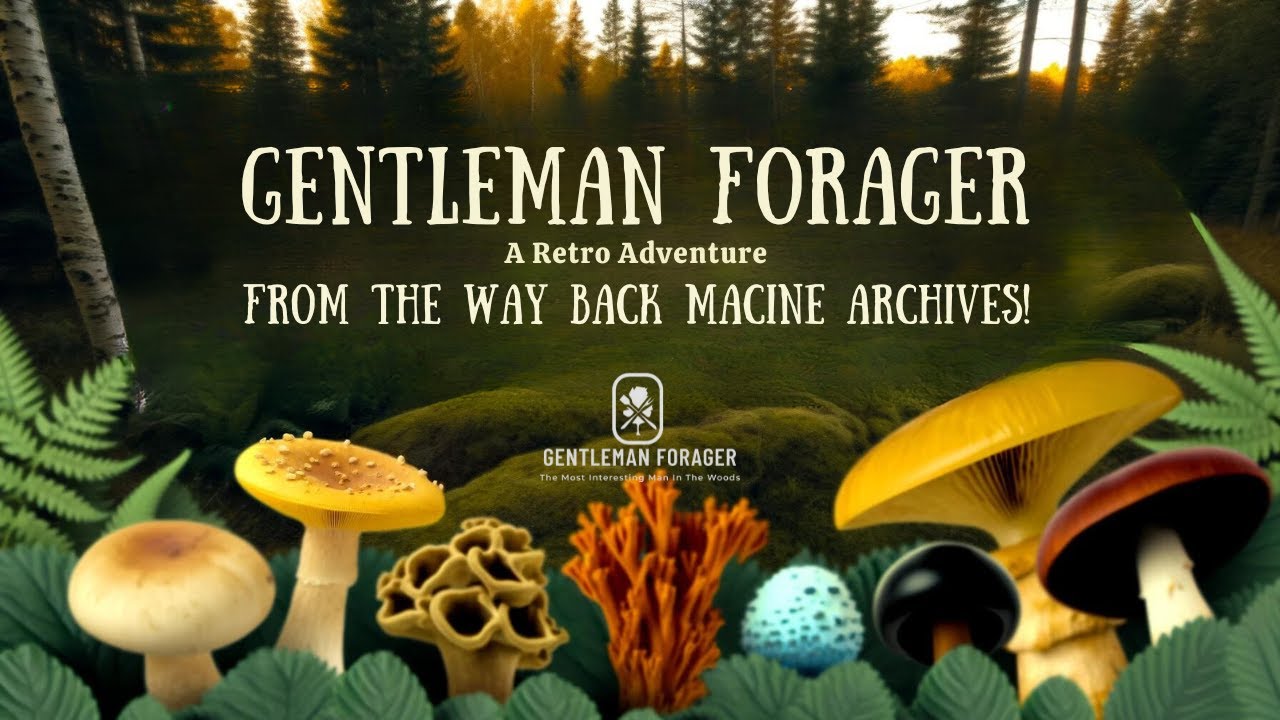 Hidden Fungi Gems: A Mystical Mushroom Hunt in Northern Minnesota | GF Archives