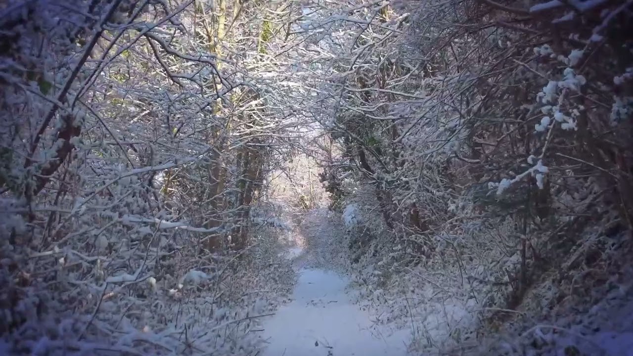 2026 01 Mareil sur Mauldre sous la neige 2
