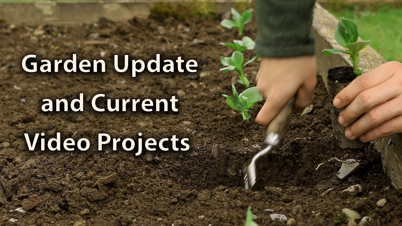 Growing Update + Weekly Videos are Coming Back!