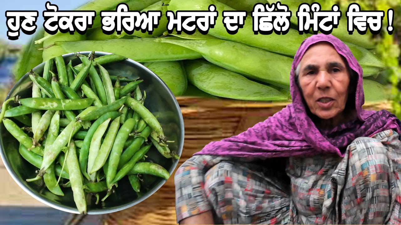 ਟੋਕਰਾ ਭਰਿਆ ਮਟਰਾਂ ਨੂੰ ਛਿੱਲਣ ਦਾ ਬਹੁਤ ਹੀ ਸੌਖਾ ਤਰੀਕਾ | Village Life | Punjabi Khana Vlog Channel