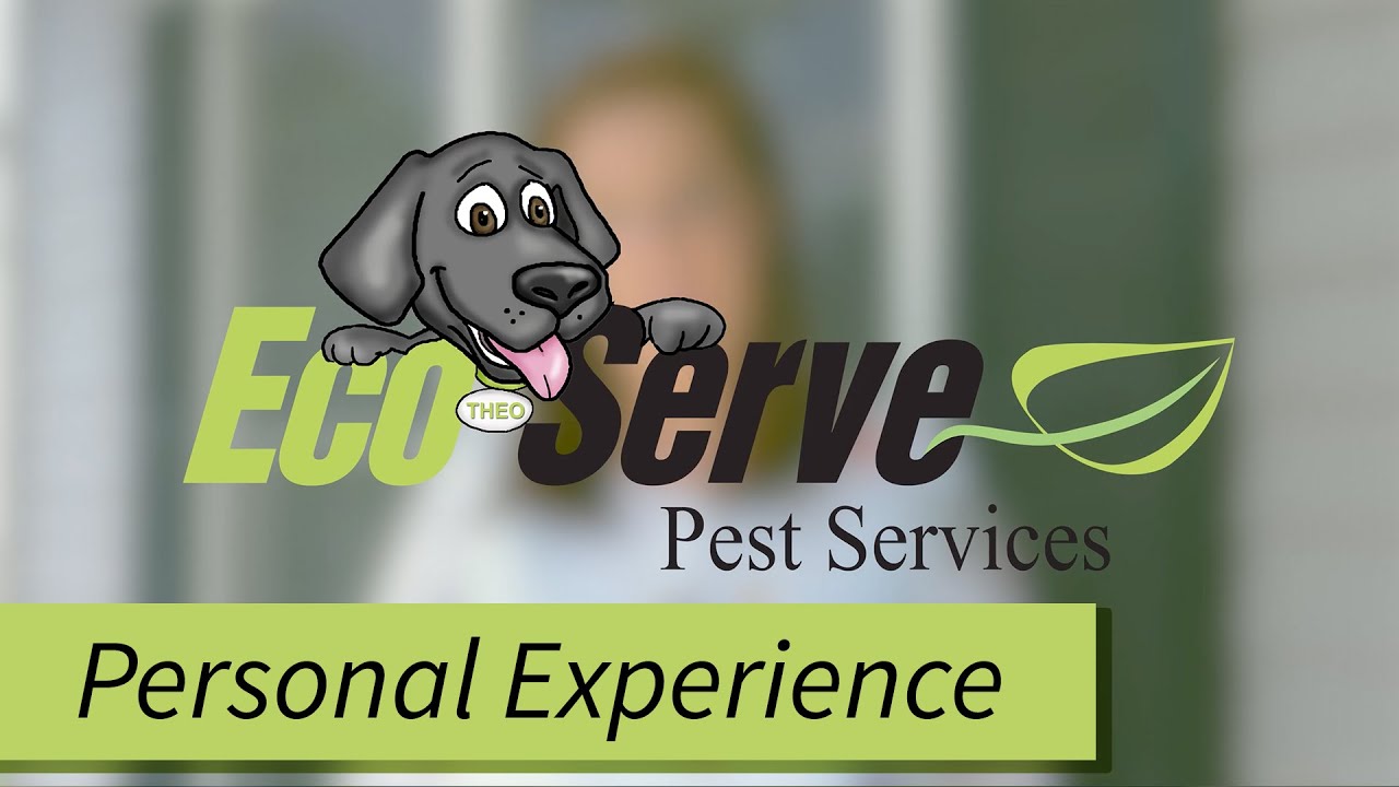 Personal Experience - Eco Serve Pest Services