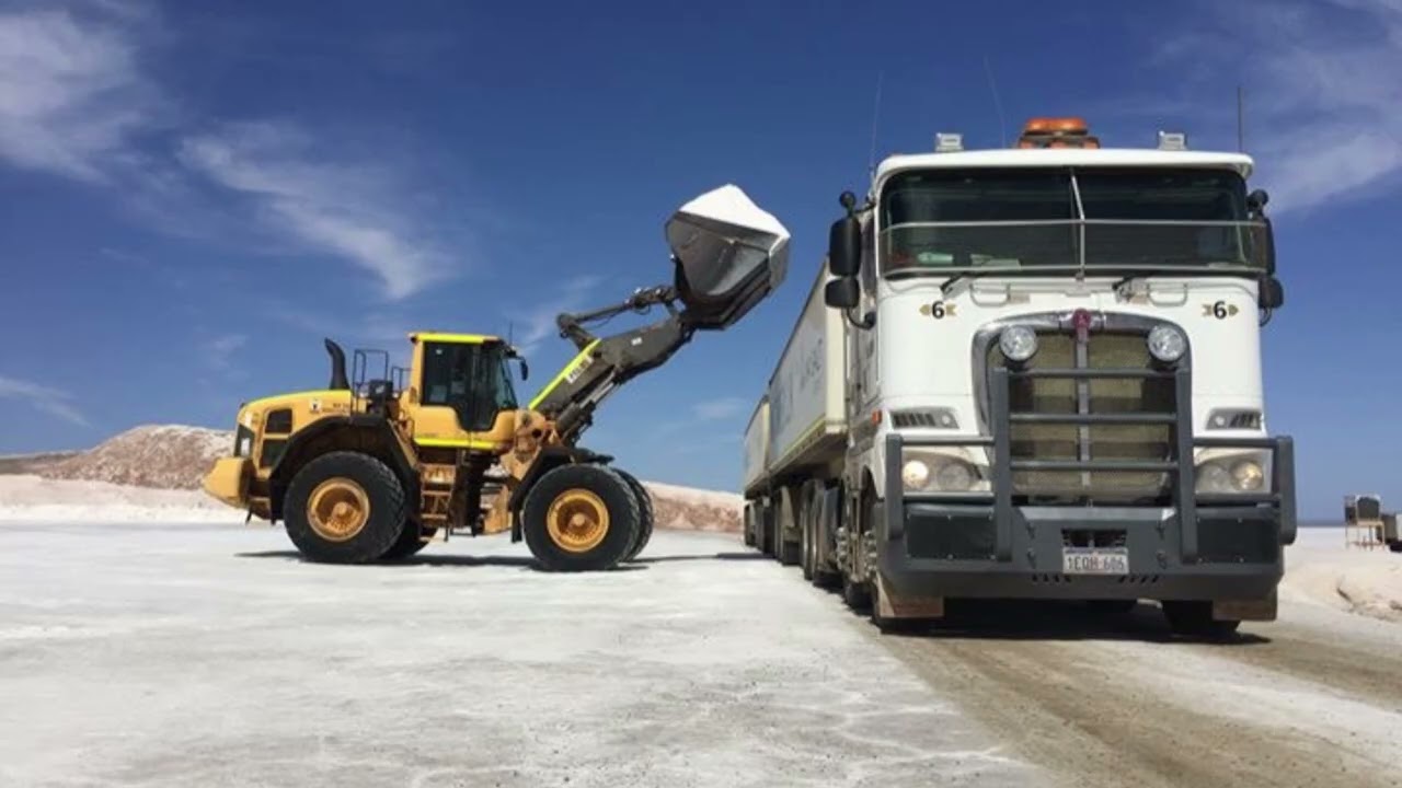 Auzy Trucks