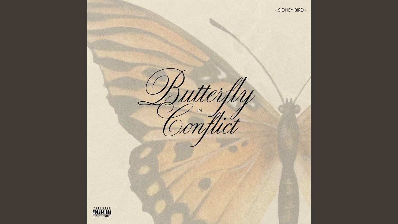 butterfly in conflict